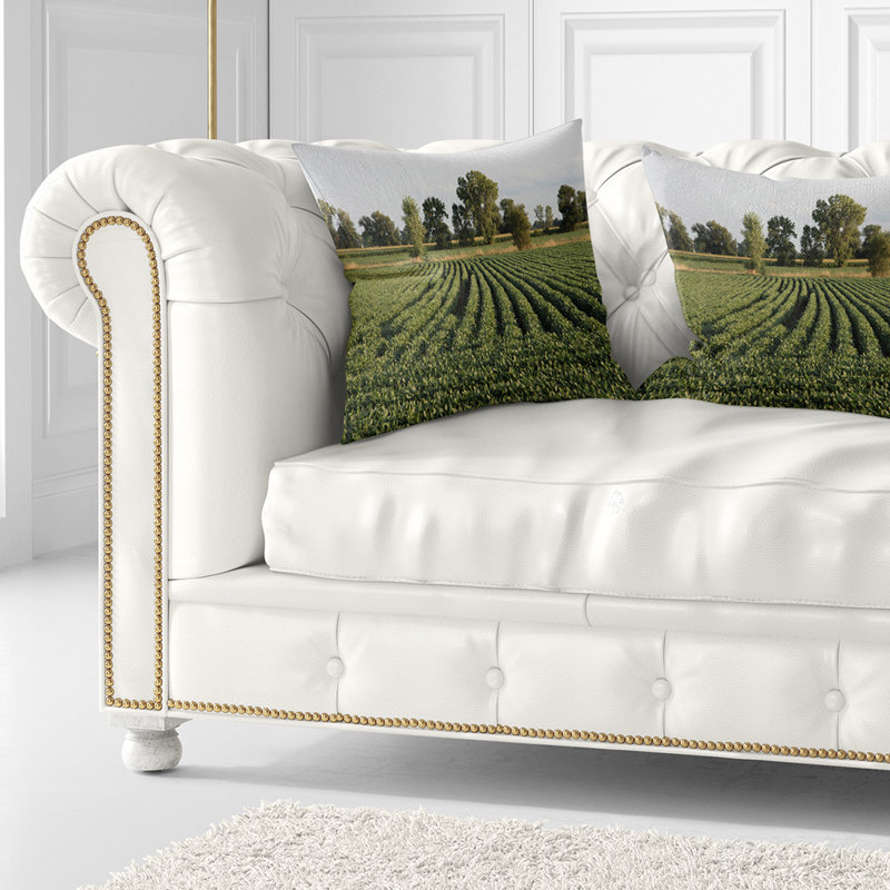 Rangées de champ de soja Wisconsin - coussin à imprimé paysage, 18 po x 18 po, Coussin décoratif