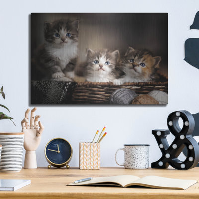 Art mural en métal luxueux «Three Kittens» par Jonathan Ross, art mural en métal, 16 po x 12 po