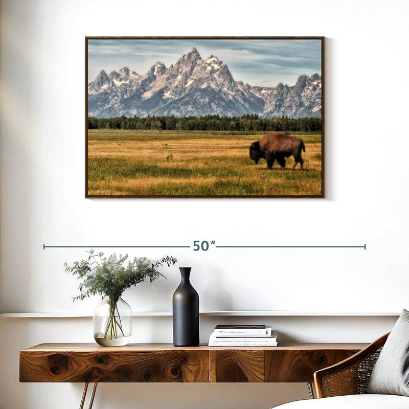 Bull Bison à Grand Teton, 37 po x 25 po, Cadre flottant noyer
