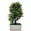 27cm Faux Bonsai Topiary in Vase