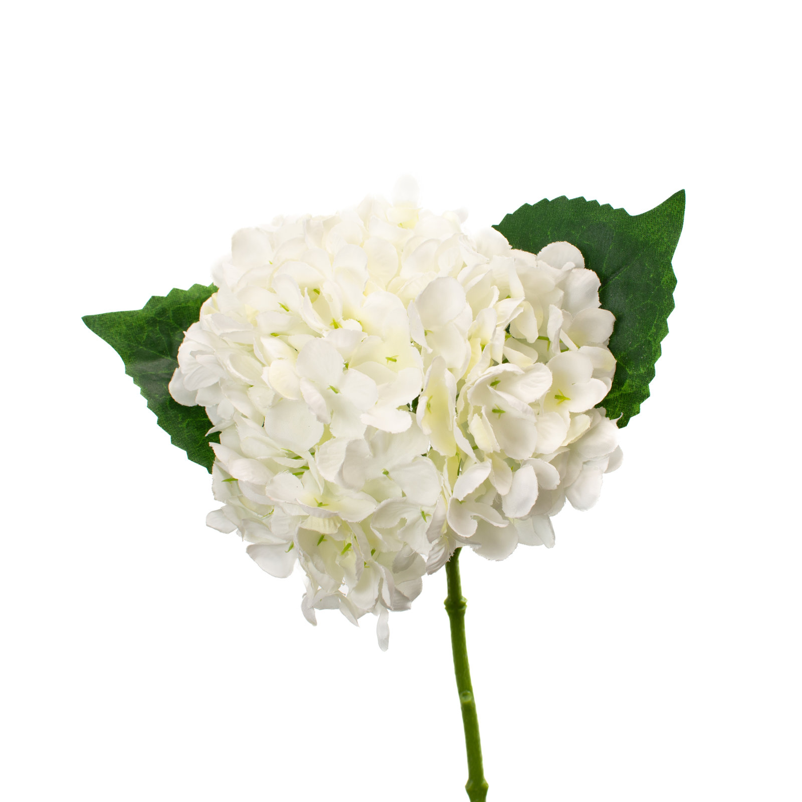 Hydrangea Floral Stems, White