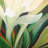 Floral Reversible Throw Pillow