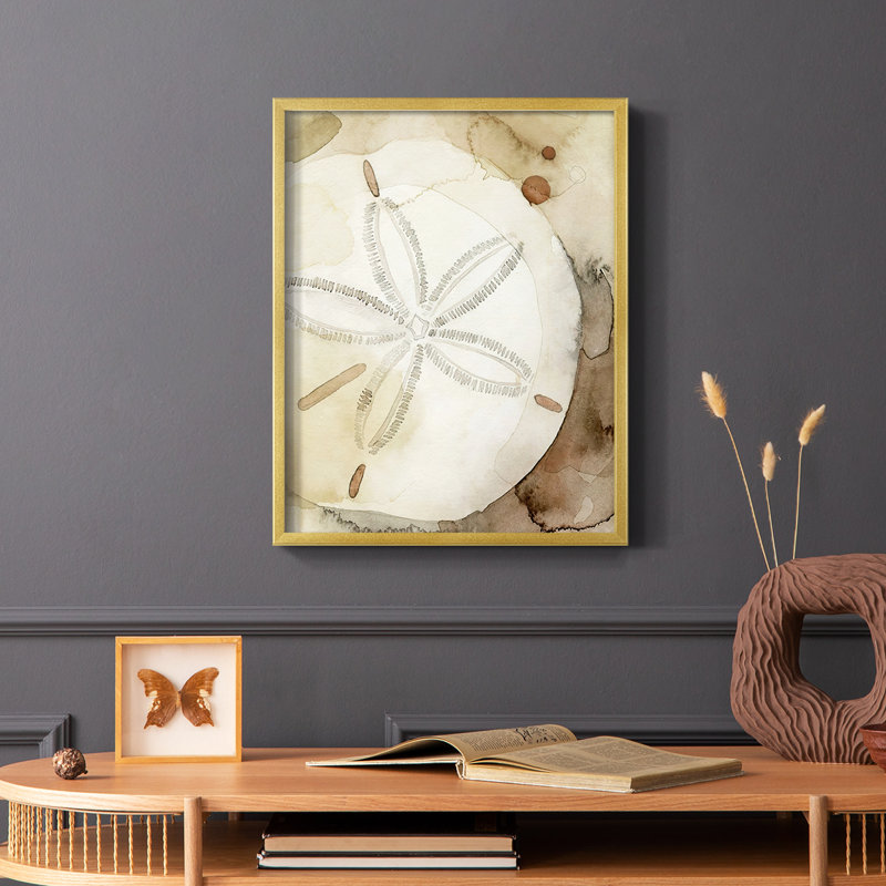 Dry Sand Dollar I, reproduction encadrée - bois massif, H 10 po x l 8 po