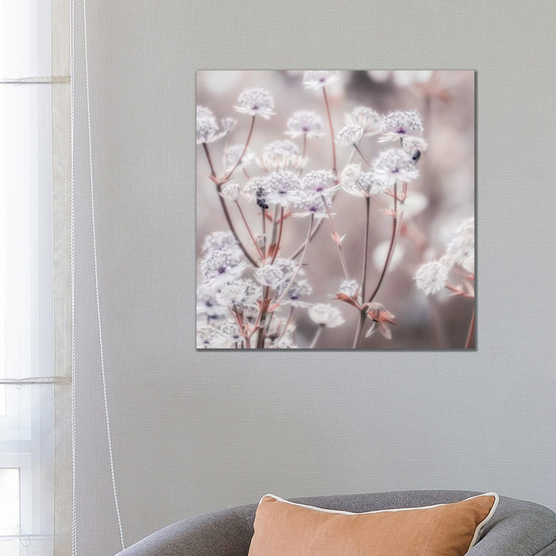 Wildflower Pastel IV Square by Monika Strigel - Wrapped Canvas Print, 66.04 cm H x 66.04 cm W x 1.91 cm D