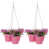Rose vif est en rupture de stock