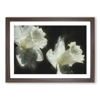 White Daffodils Painting - Picture Frame Graphic Art
