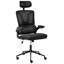 Brayden Studio Chaston Mesh Office Chair with Headrest-1807827672-1807827679