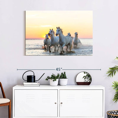 Brampt Camargue Horses At Sunset
