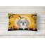 Coussin intérieur / extérieur Halloween Shih Tzu-31803965