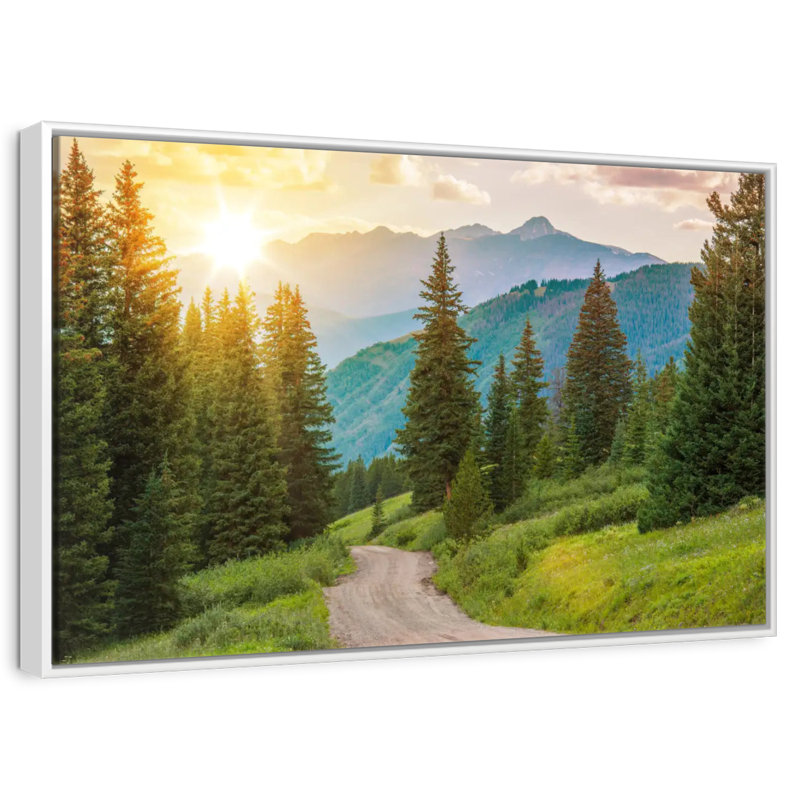 Forêt de pins du Colorado, Cadre flottant blanc, 43 po x 29 po