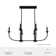 Hunter Southcrest 6 Light Linear Chandelier Ceiling Light Fixture