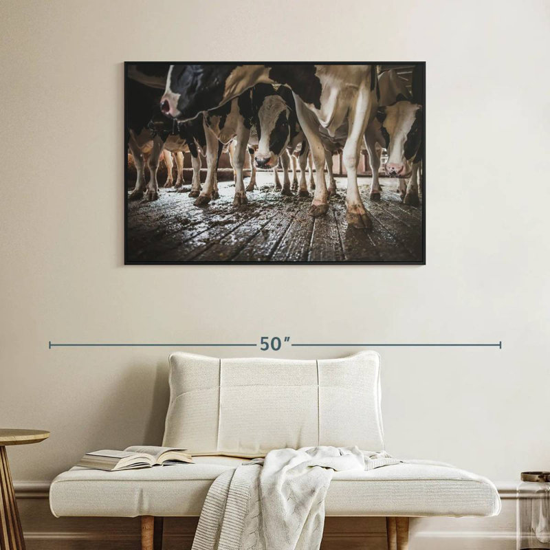 Sabots de vache en noir et blanc, Cadre flottant noir, 40 po x 27 po