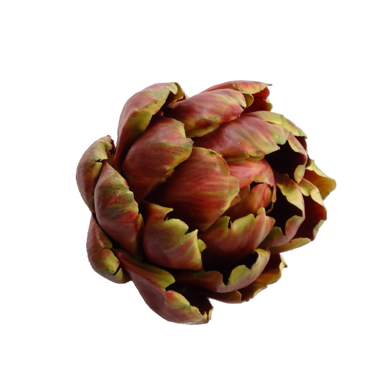 Tige de plante grasse, Bourgogne, 1
