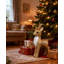 No Holiday Shaped Ornament-1886684272-1886684276