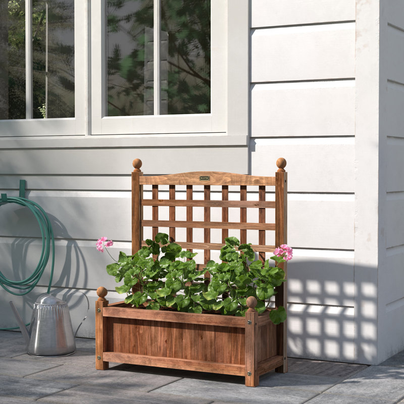 Jardinière surélevée avec treillis Bragg, H 30 po x l 11 po x P 25 po, 2