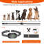 Collier pour chien