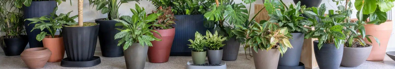 Premium planters with different colors, sizes and styles. 