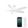 Zephyr 62'' Smart Indoor/Outdoor Ceiling Fan with 2700K-3000K-4000K-5000K Selectable LED Light Kit and Remote Control, Works With Alexa and iOS / Android App
