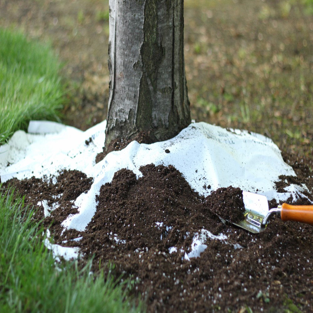 Touch Of ECO Growing Kit with Flowers Seeds Included Touch of ECO