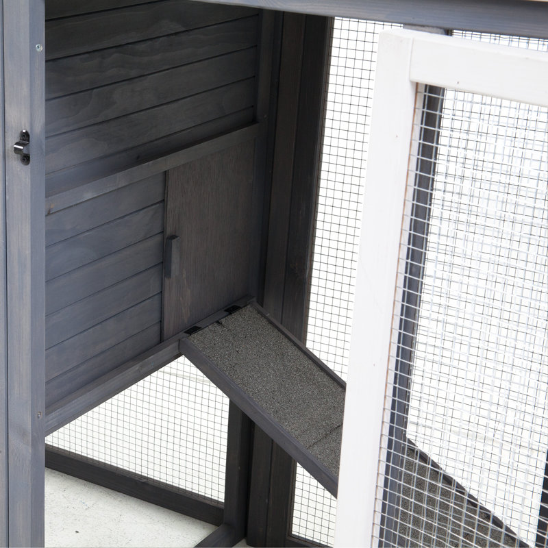 Duchess 22.2 Square Feet Chicken Coop with Nesting Box For Up To 5 Chickens