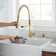Parma Pull Down Single Handle Kitchen Faucet