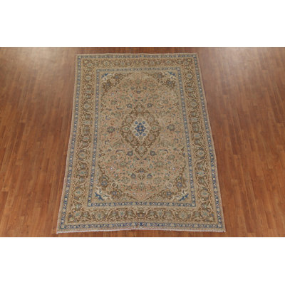 Traditional Area Rug 6x9