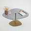 Table basse moderne avec plateau en verre trempé, gris foncé et or, 33,5 po x 15,7 po x 26,4 po | Pieds robustes en métal, démontés pour un assemblage facile | Design élégant pour le salon et les espaces de détente, élégant et fonctionnel-647895894-647895881