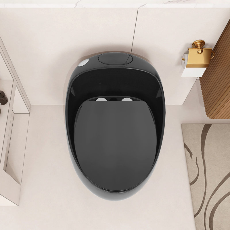 Toilette simple 1,28 po en forme d'œuf noir brillant, surface émaillée multiple, facile à nettoyer, profondeur de 26,41 po, conception épurée de 22 paquets, siège à dégagement rapide, largeur de 18,56 po, profondeur de 29,1 po