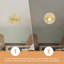 2 Piece Metal Wall Sconce Set