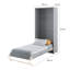Cotulla Daybed-39585517