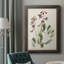 Antique Botanical Collection I, toile encadrée de qualité supérieure - prête à être accrochée-73982979