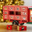 Christmas Bear Transportation Advent Calendar