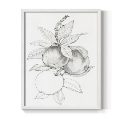 FruitBearing Branch II Framed Print - Solid Wood