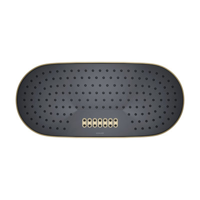 Statement™ 18" 2.5 GPM Oblong Rainhead