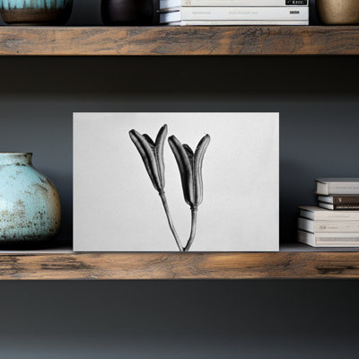 Art contemporain blanc sur fond blanc