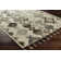 Sassafras Hand-Woven Beige/Grey Area Rug
