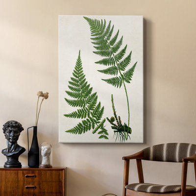 Fougère II - galerie Cavas sur mesure