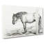 A Horse in a Stable by Jean Bernard - Wrapped Canvas-55368022
