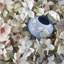Magnolia Blossom 4.3in Rose Bowl