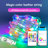 Smart Dreamcolor Rgbic Led String Lights, 33ft Music Sync Fairy Lights With App Control And 20-key Remote, Clear Leather Wire-893923936