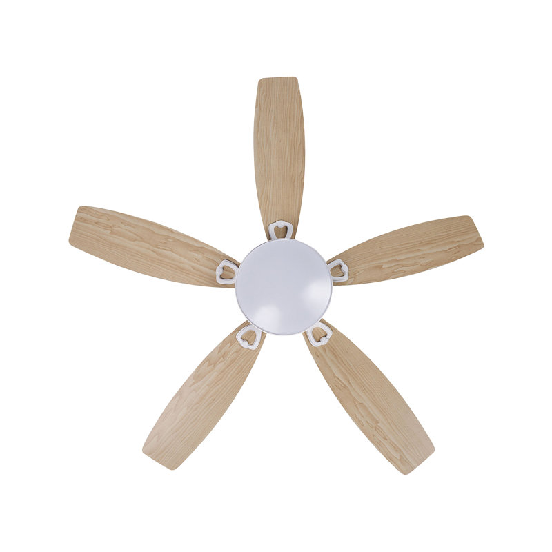 Asimakis 110cm Ceiling Fan with LED Lights