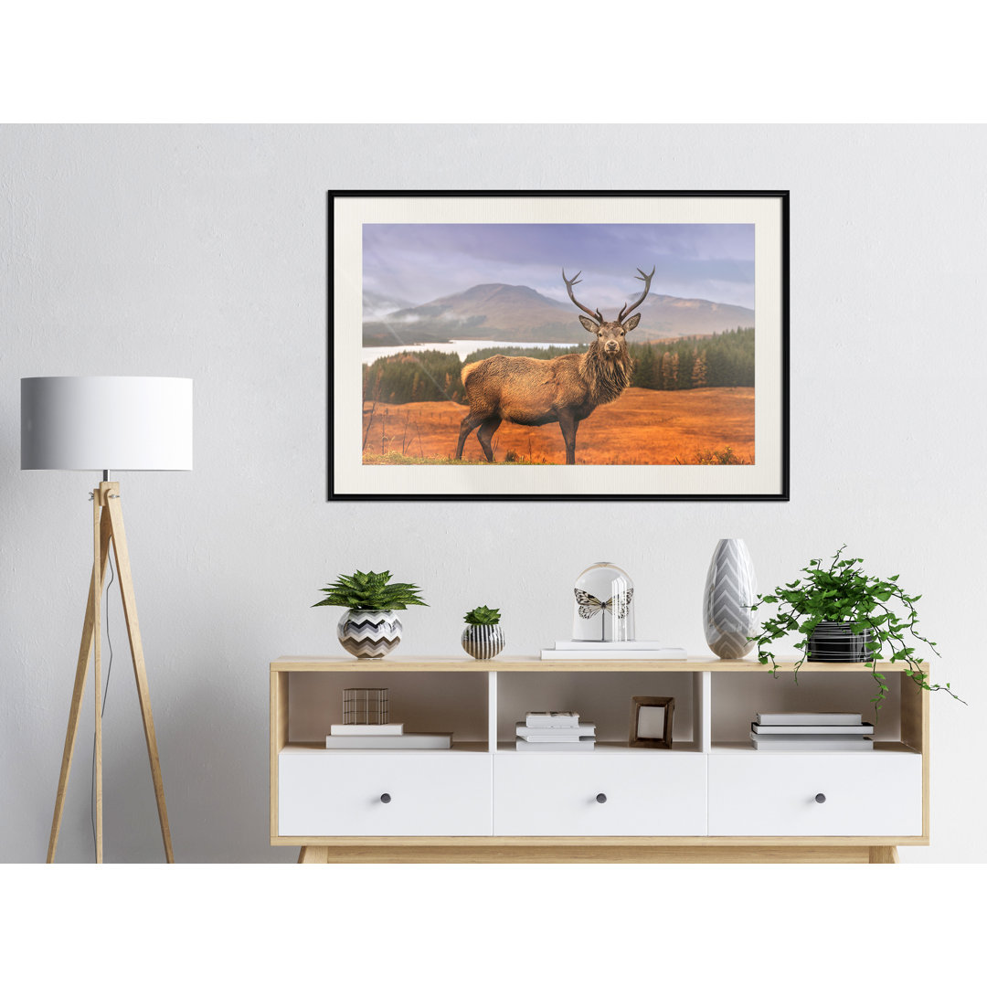 Gerahmter Fotodruck Majestic Deer