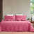 Rose est en rupture de stock