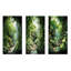 Jade Journey Green Forest-264443563-264443564