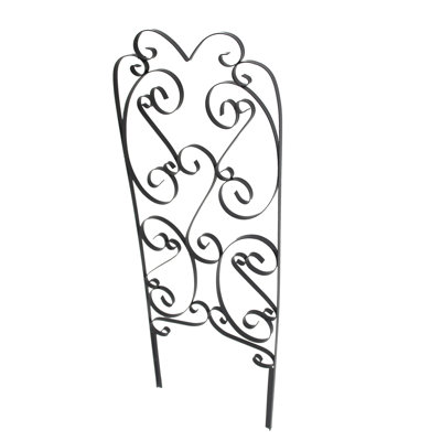 Alcott Hill® 2 Pack Garden Trellis For Climbing Plants 45" X 16" Sturdy Black Metal Trellis For Plants Support Lattice Metal Trellises For Climbin