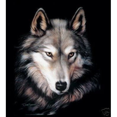 Indigo Wolf Face Plush Blanket