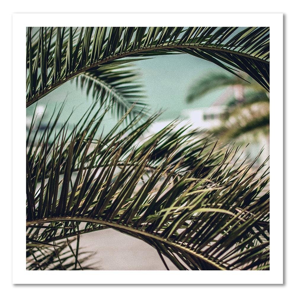 Leinwandbild Palm Leaves 2