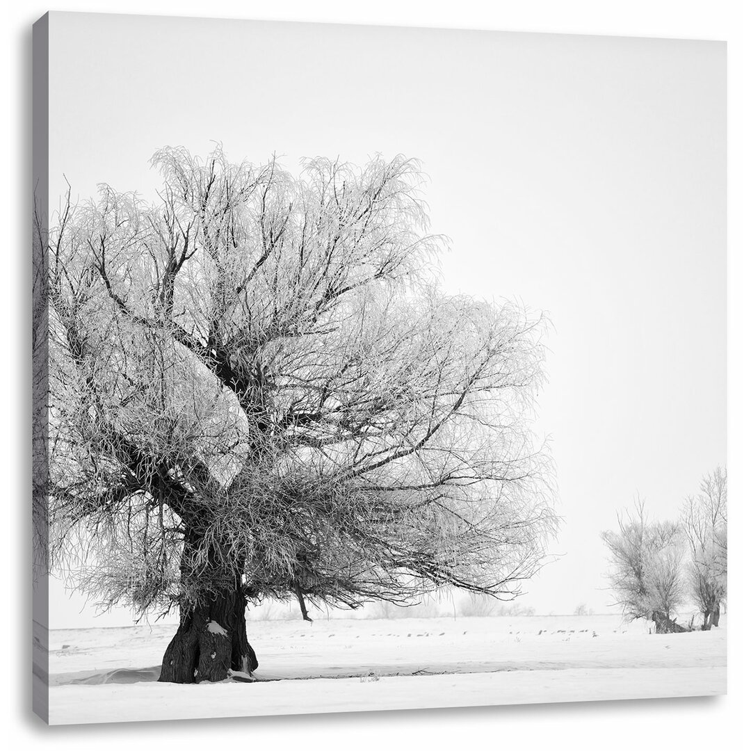 Leinwandbild Bäume im Schnee Nebel