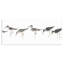 «Beach Bird Sandpipers Minimal Grey White» par Avery Tillmon - Peinture
