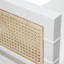 Benedict Upholstered Bench-1031235509